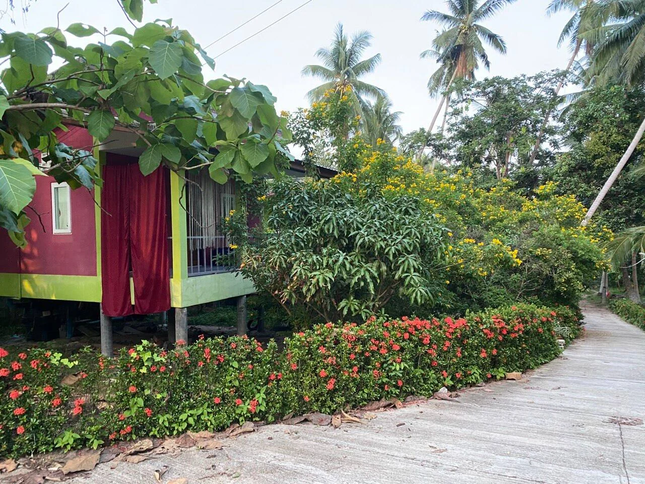 1BR house with workspace